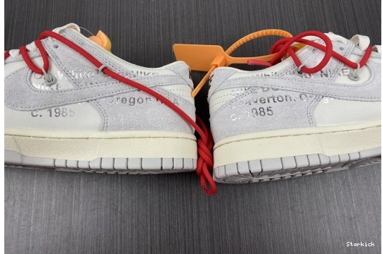 Nike DJ0950-103 Lot O-W Low Dunk 40 0125